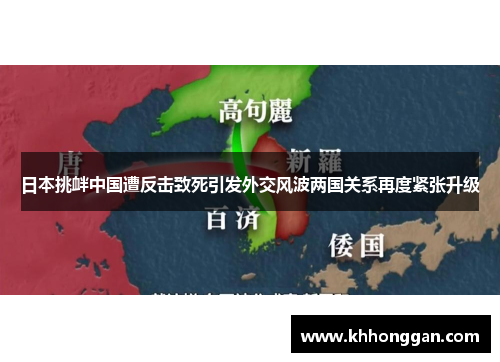 日本挑衅中国遭反击致死引发外交风波两国关系再度紧张升级