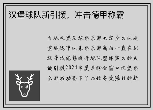 汉堡球队新引援，冲击德甲称霸